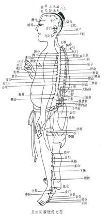 Akupunktura, ziołolecznictwo, dietetyka, masaż stóp On Zon Su. Szkoła Tradycyjnej Medycyny Chińskiej - Meridiany zwyczajne i nadzwyczajne BL.jpg